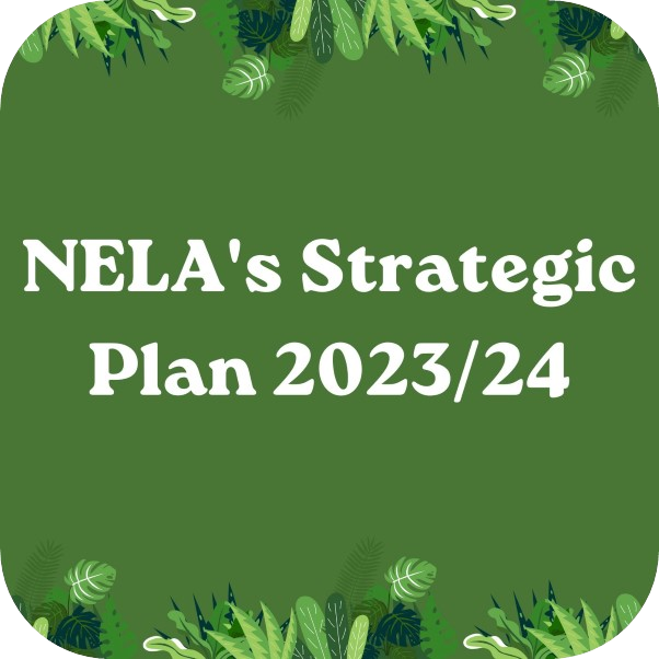 Strategic Plan Button