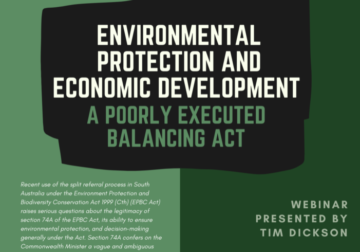 Environmental Protection and Economic Development_ A Poorly Executed Balancing Act (1)