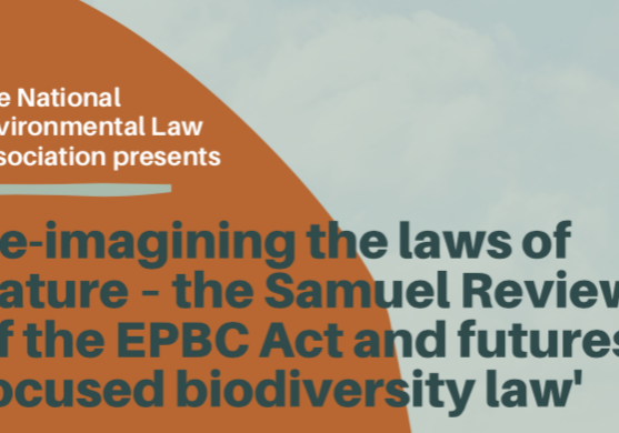 In November 2020, Dr Michelle Lim presented a webinar on the interim report of the 10-year review if the EPBC Act. This is also known as the Samuel Review. The webinar was one of the first to explore the findings of the final report of the Samuel Review.
